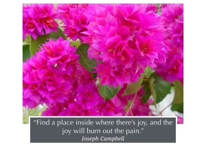 a positive quote on joy! by Joseph Campbell