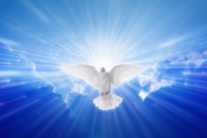 Holy Spirit came down like a dove, holy spirit dove flies in blue sky with a bright light shining down from heaven - HIS glory is great!!!
