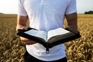 Man holding open Bible in a wheat field